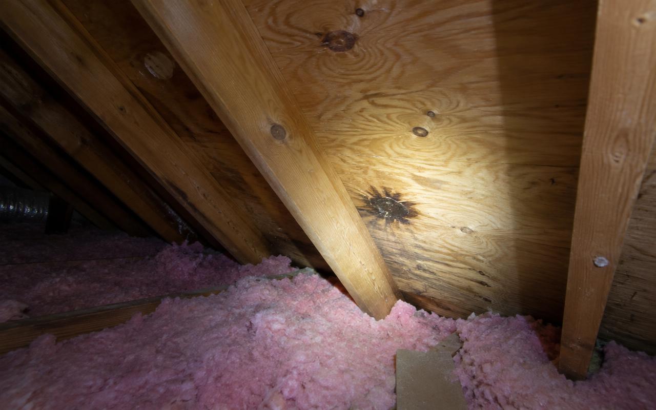 AI illustration: a flashlight shining on a dark water stain on attic roof boards above pink insulation